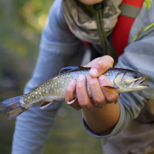 Crowley Lake Fly fishing Hoodie California