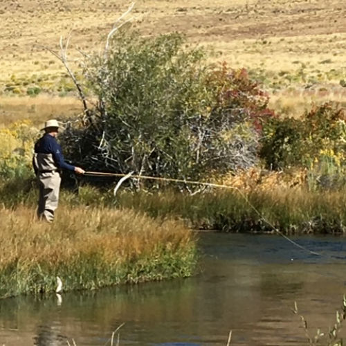 wide-variety-fishing