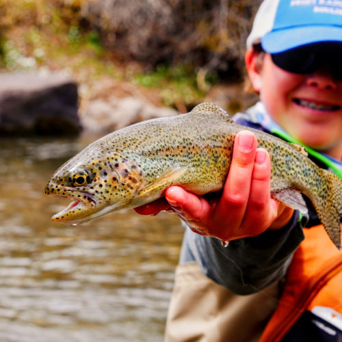 Spin Fishing Shop - Mammoth Lakes, CA - Kittredge Sports