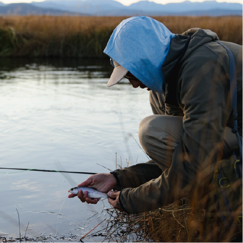 wide-variety-fishing